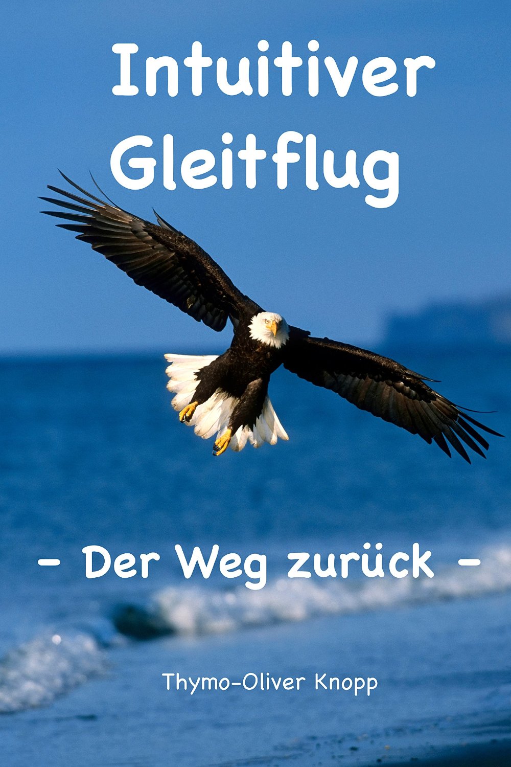 Intuitiver_Gleitflug-TOKnopp